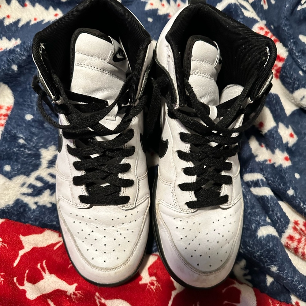 Nike Dunk High Be True ID